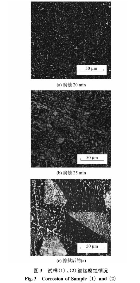 試樣(1)、(2)繼續腐蝕情況