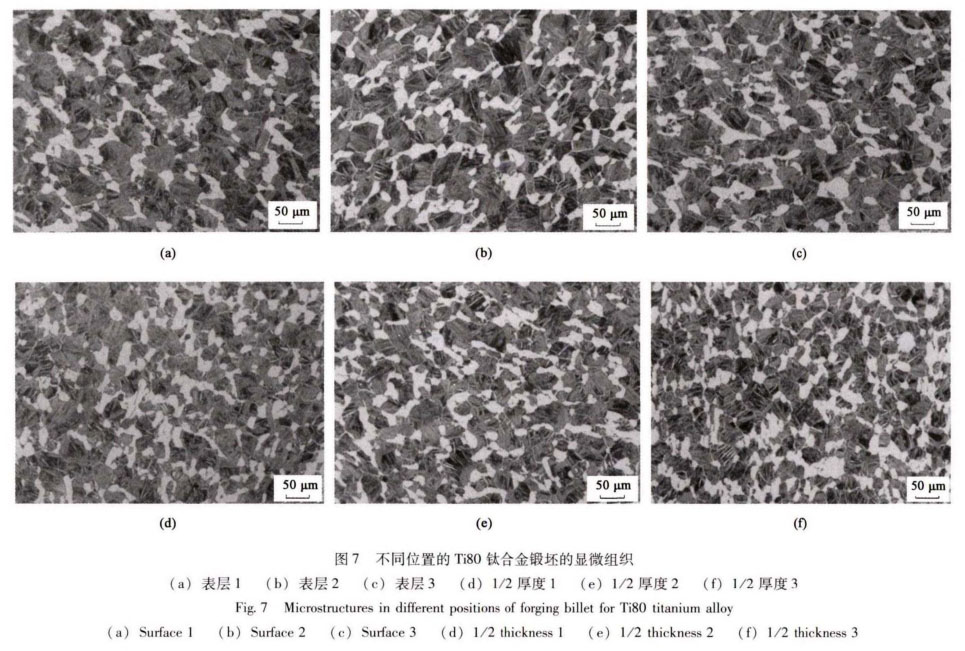 1636725429489558.jpg a7.jpg