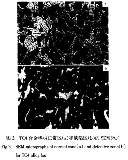 1636728305763336.jpg t3.jpg