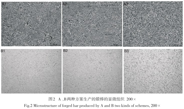 1638977864743142.jpg 3.jpg