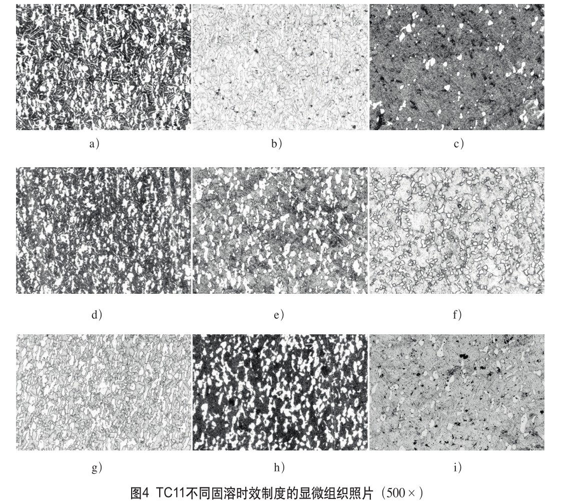 1648217456255342.jpg t4.jpg