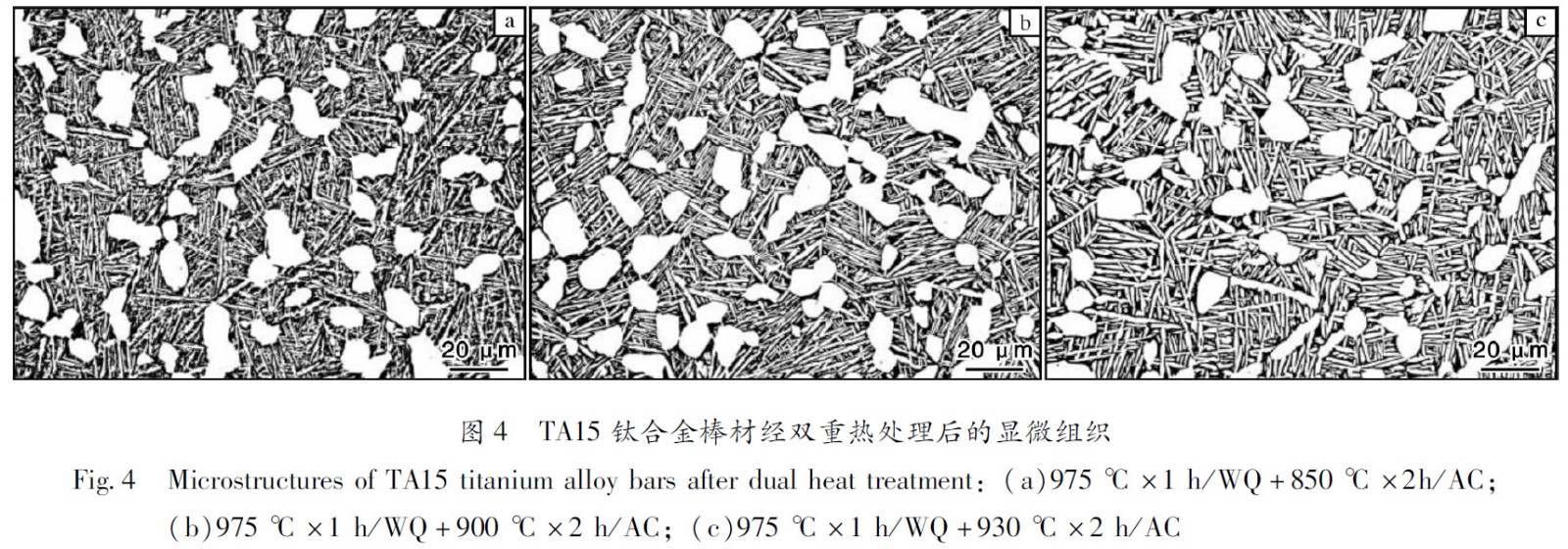 1660485242255034.jpg t4.jpg