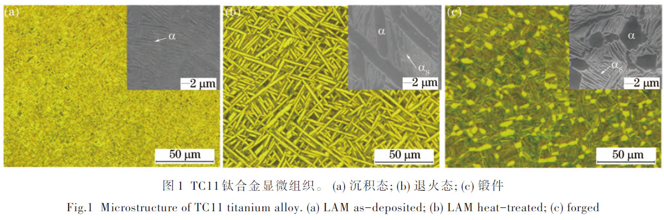 1672489476322727.jpg t1.jpg