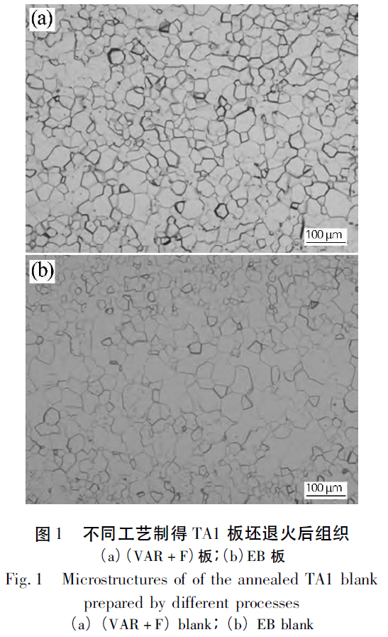 1672032779349298.jpg t1.jpg