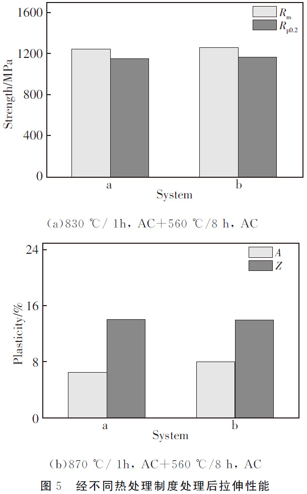 1677486411255408.jpg t5.jpg