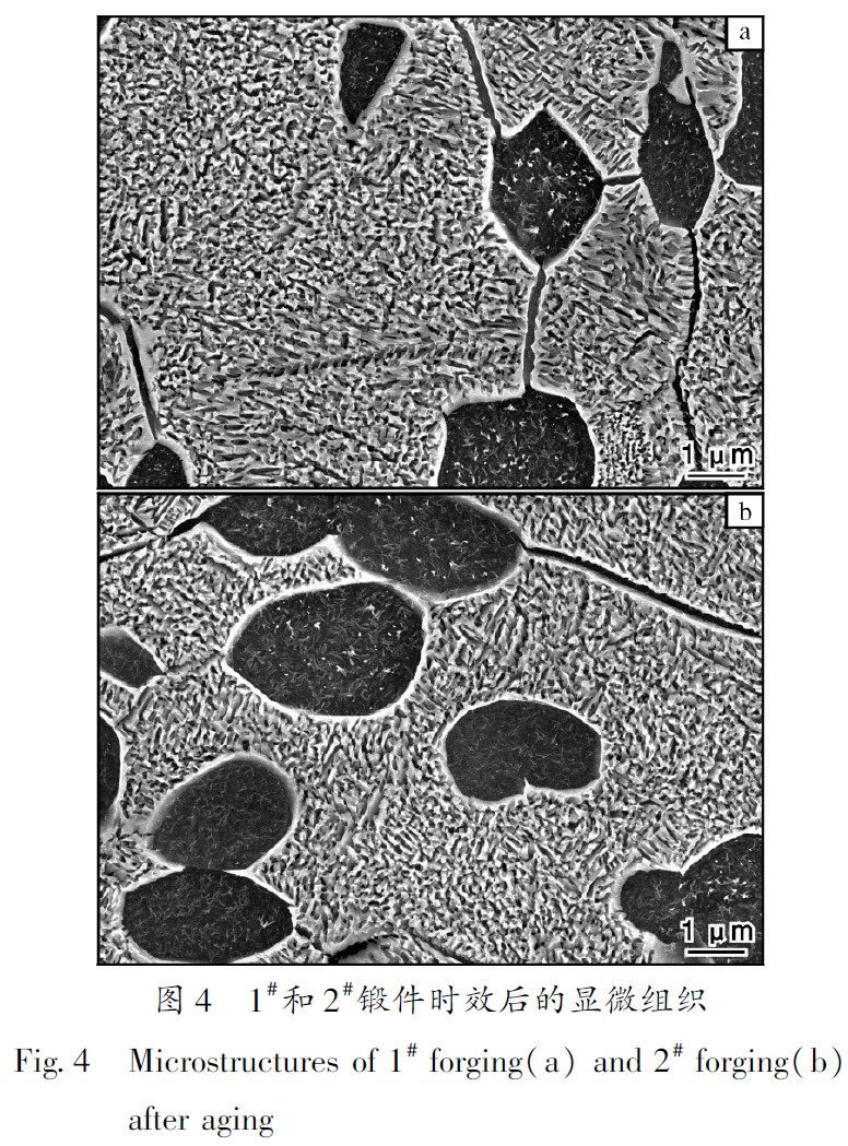 1683452481511075.jpg t4.jpg