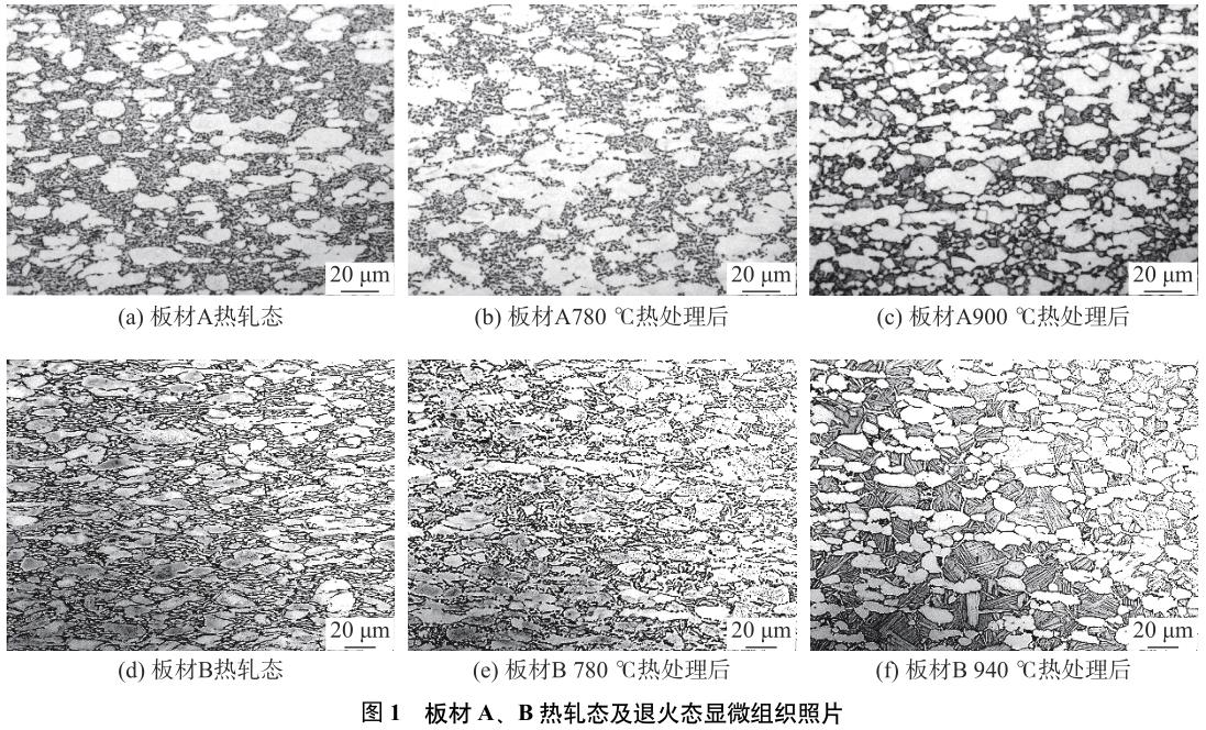 1688979396987084.jpg t1.jpg