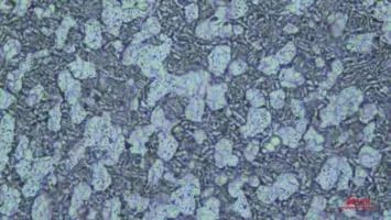 1691499469794351.jpg 8.jpg