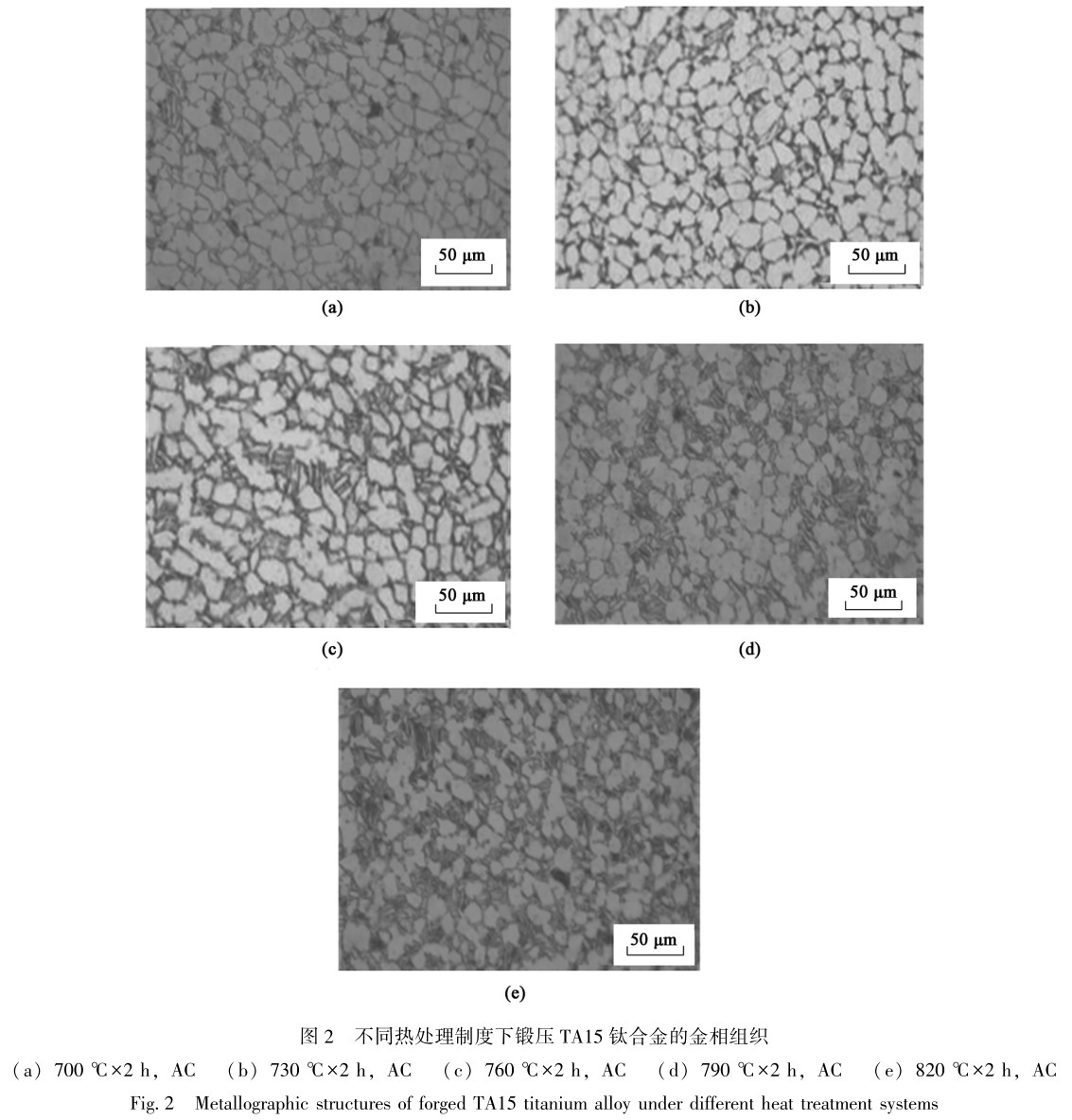 1700640734977342.jpg t2.jpg