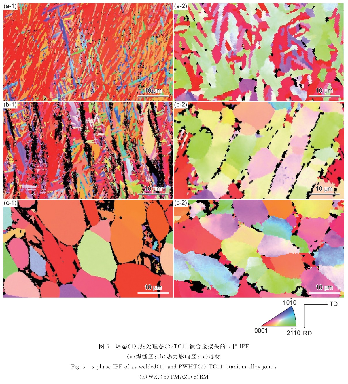 1700650324359307.jpg t5.jpg