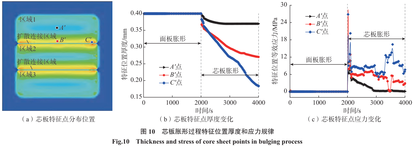 1702020233748553.jpg t10.jpg