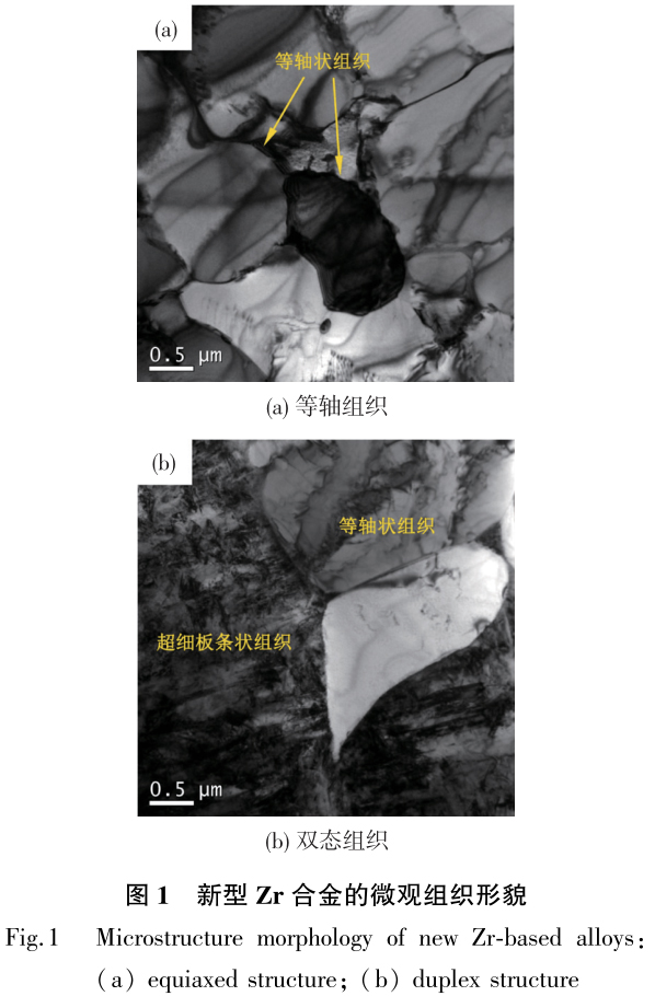 1702507521164128.jpg t1.jpg