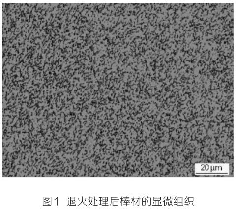 1700831189415400.jpg t1.jpg