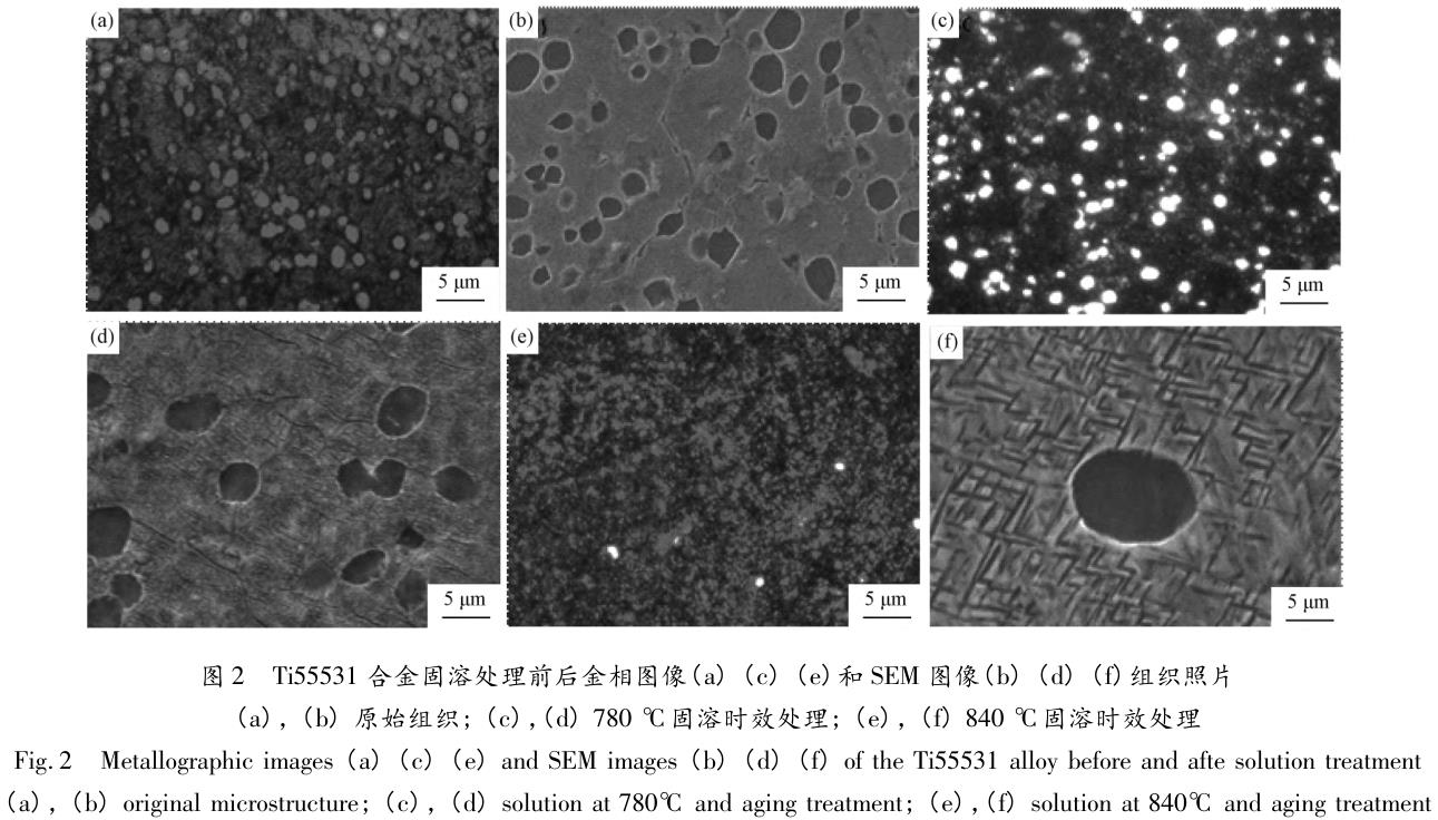 1708421028357600.jpg t2.jpg