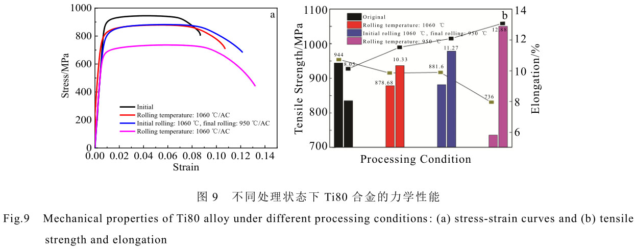 1708442329820213.jpg t9.jpg
