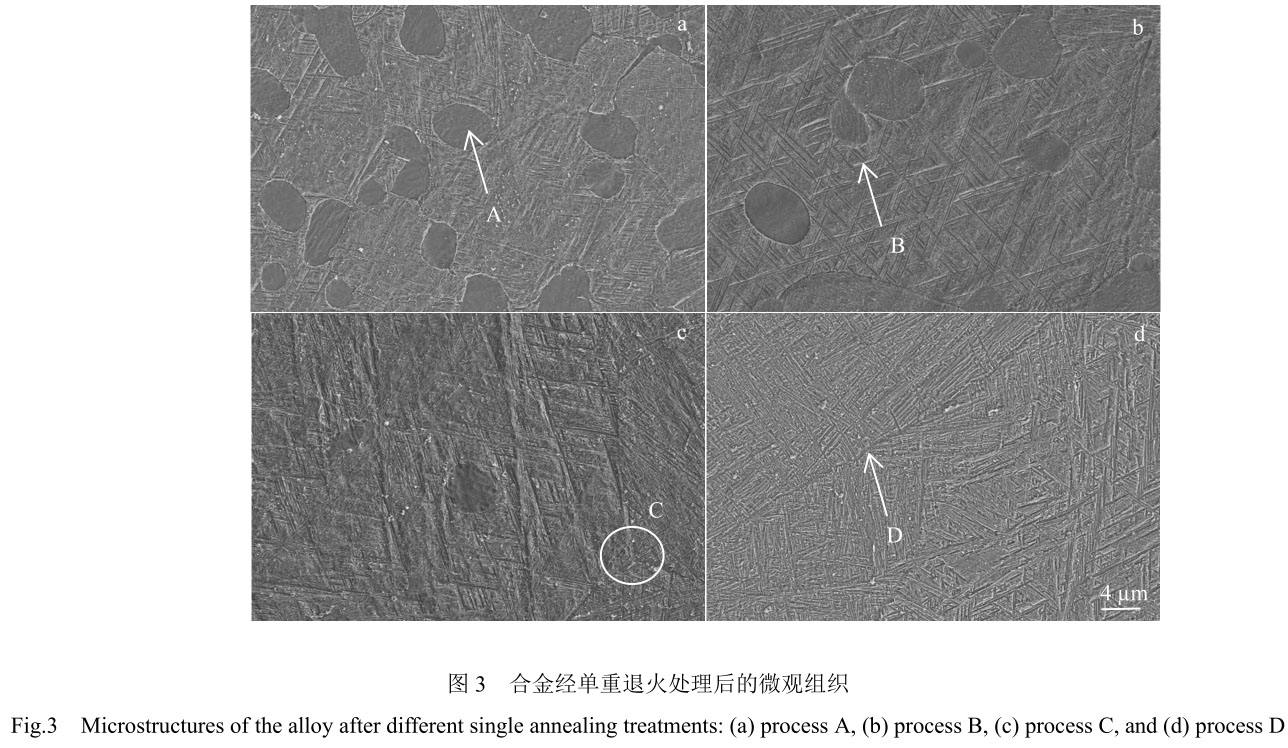 1708444125893613.jpg t3.jpg