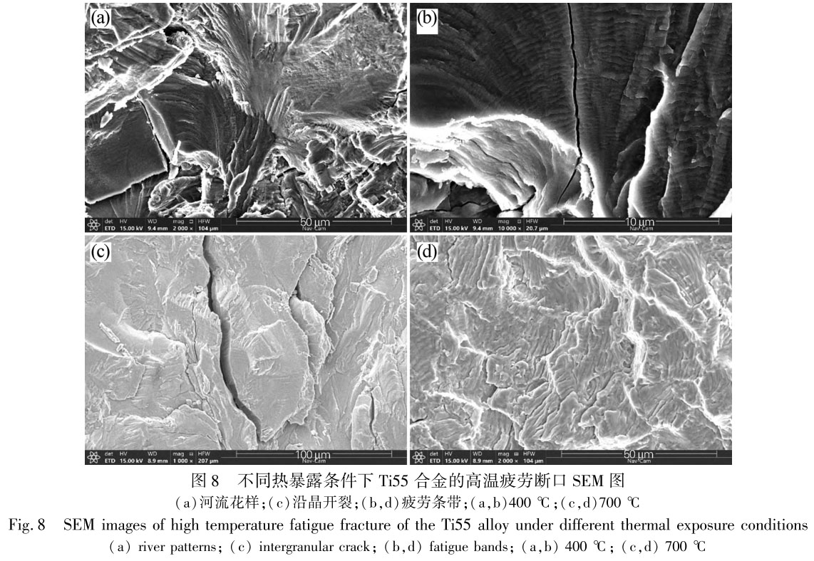 1711447327906029.jpg t8.jpg