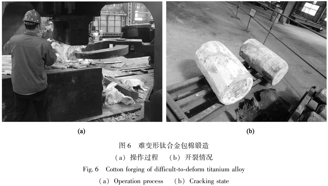 1712454589828147.jpg t6.jpg