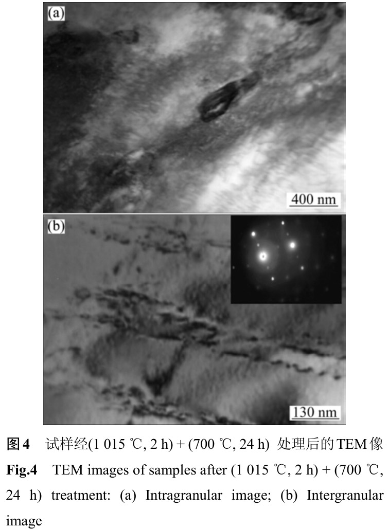 1712459100847776.jpg t4.jpg