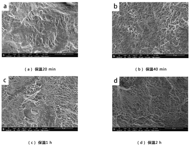 1712891821926812.jpg 7.jpg