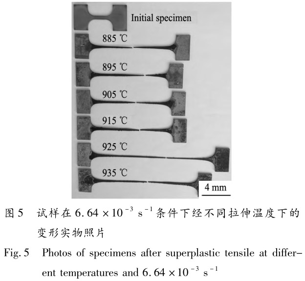 1713442895151231.jpg 未標題-5.jpg