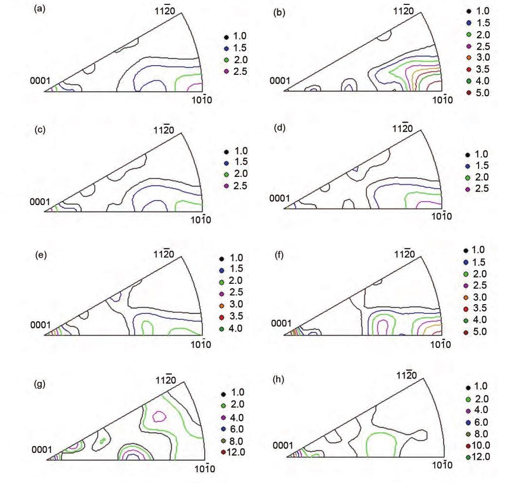 1713927858931885.jpg 3.jpg