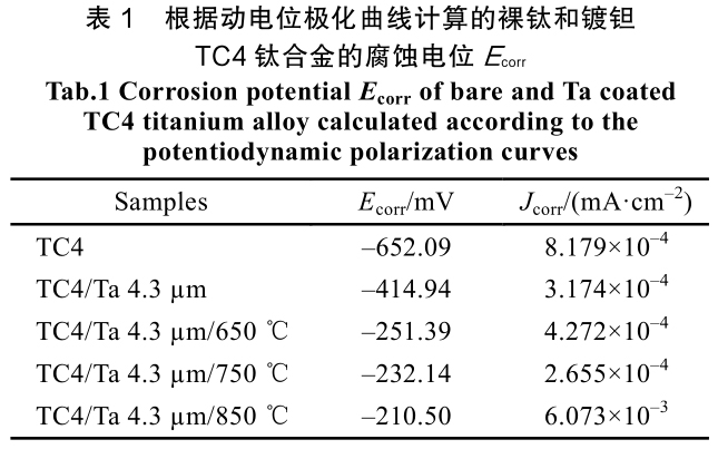 1715508212586782.jpg b1.jpg