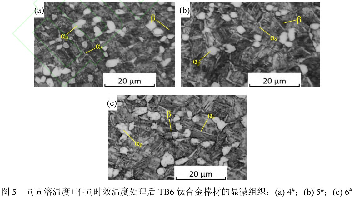 1715515501101407.jpg t5.jpg