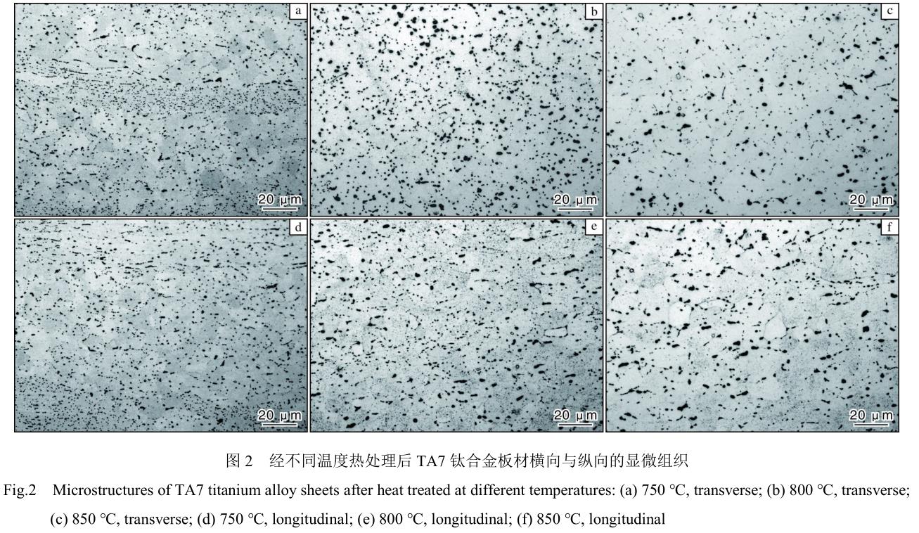 1720145071532492.jpg 360截圖16470409223766.jpg