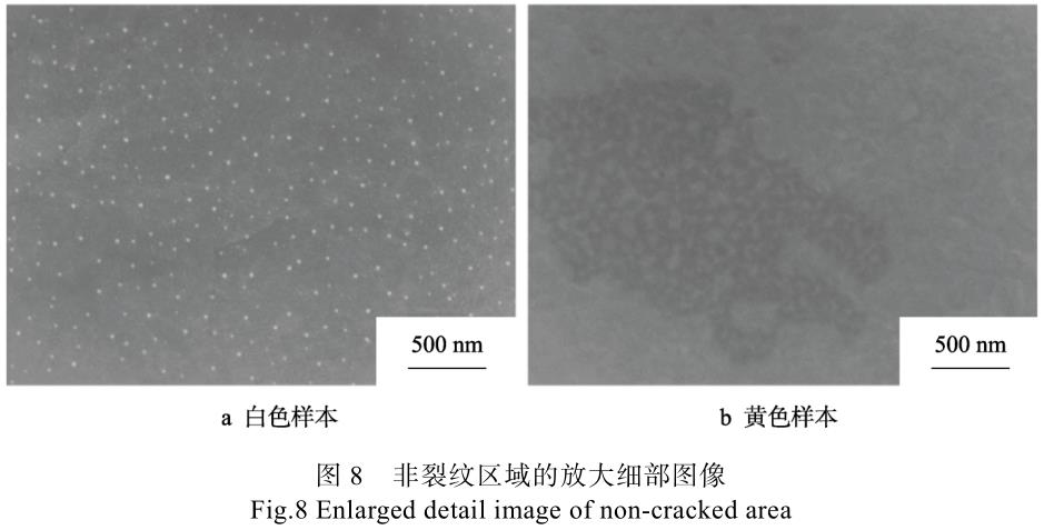 1723731116270903.jpg t8.jpg