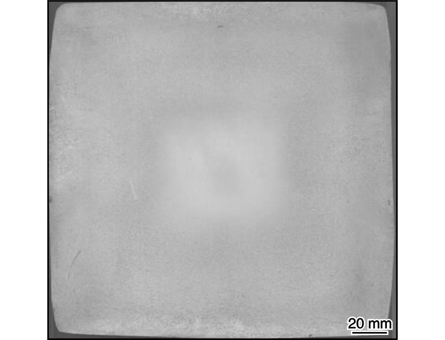 1725094375990190.jpg 2.jpg