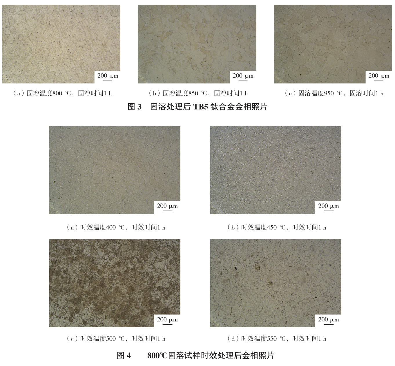 1726742296187534.jpg t3-4.jpg