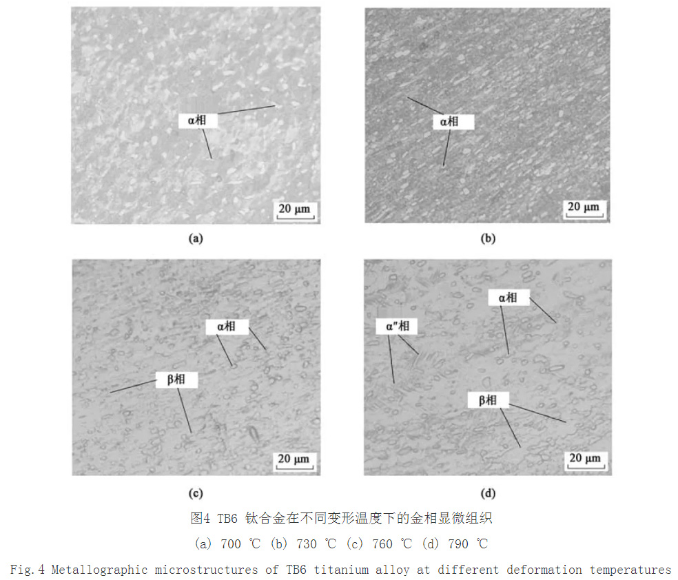 1733576655325810.jpg 4.jpg