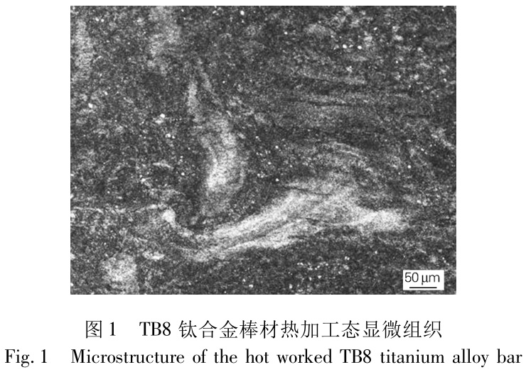 1733646189422685.jpg t1.jpg