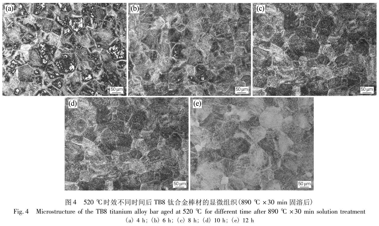 1733646272591426.jpg t4.jpg