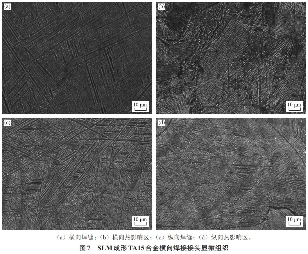 1739676669778331.jpg 7.jpg