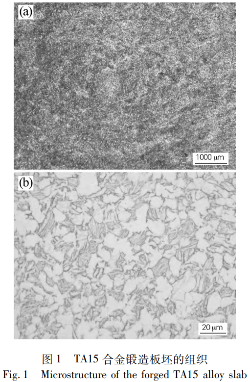 1765165030636824.png 截圖20251208113313.png