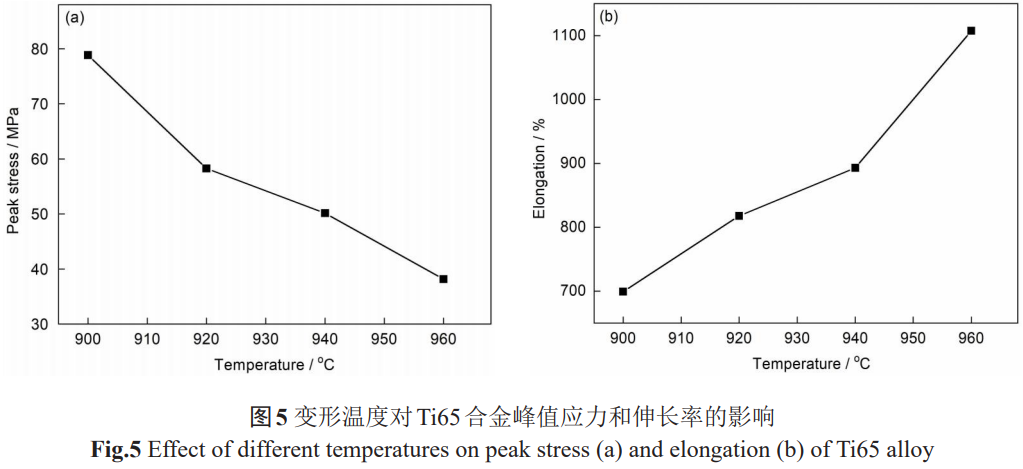 1765683369286658.png 5.png